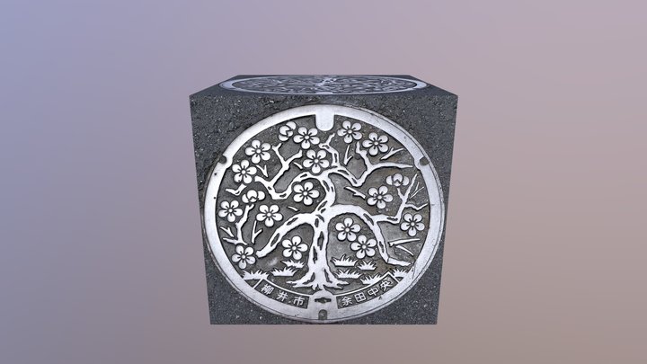 ManHole 3D Model