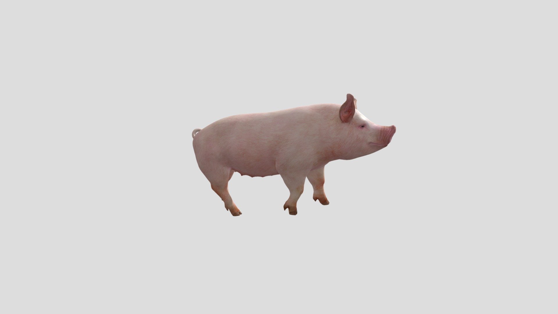 Babi - 3D model by astriedcordanis [67ae99b] - Sketchfab