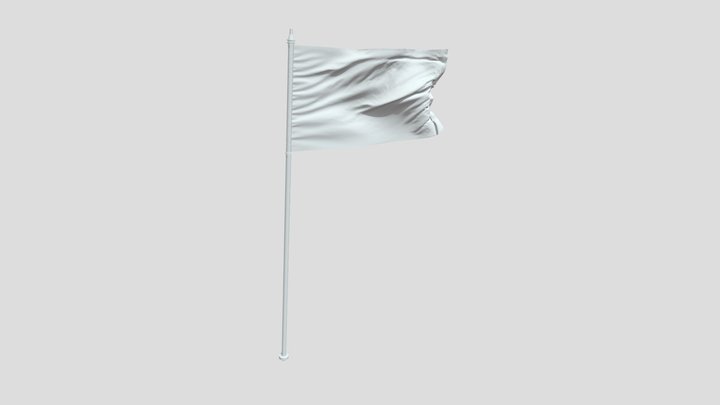 flag monochrome room 3D Model