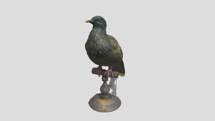 Caloenas_maculata_U_NML-VZ_D3538_replica 3D Model
