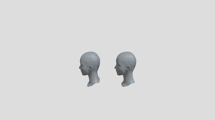 BOFS ACADEMY : 03. SECTION 종류 3D Model
