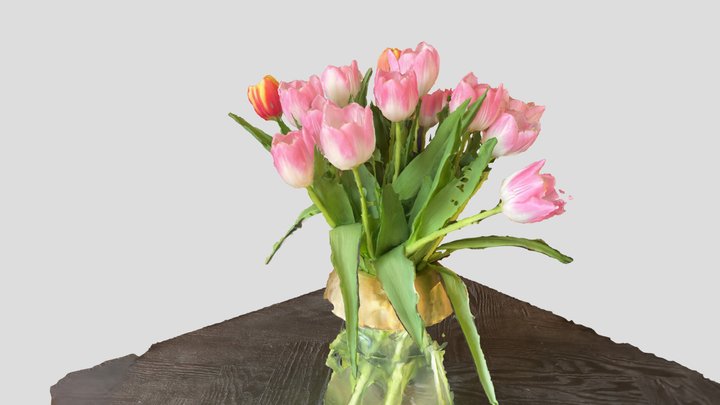 Tulip Flowers 3D Model