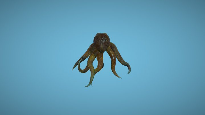 pulpo Octopus Model 3D Model