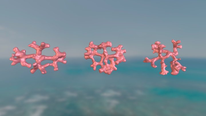 [SCAN] Seaweed / Algas marinas 3D Model