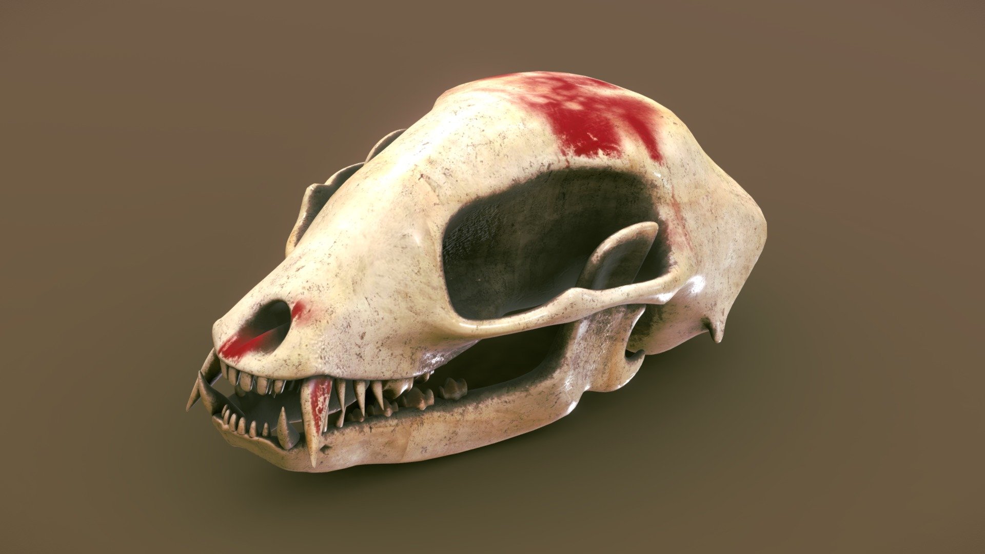 Animal skull stylized asset prop game - Buy Royalty Free 3D model by  haykel-shaba (@haykel1993) [67c386c]