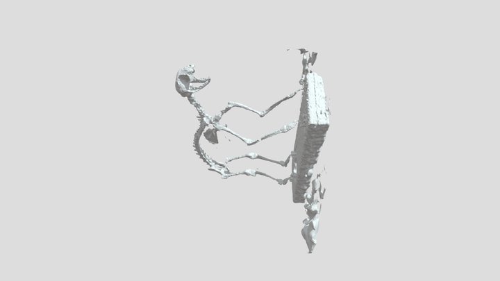 Textured Mesh file only 3D Model