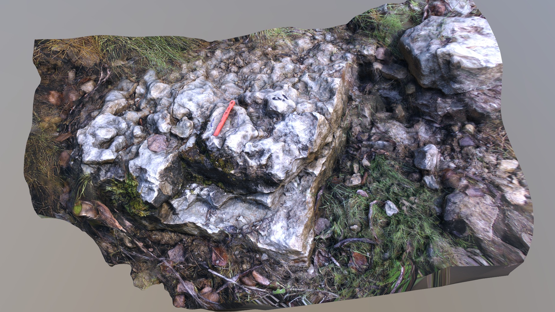 3D model Outcrop 111 bed 1 - This is a 3D model of the Outcrop 111 bed 1. The 3D model is about a close-up of a rock.
