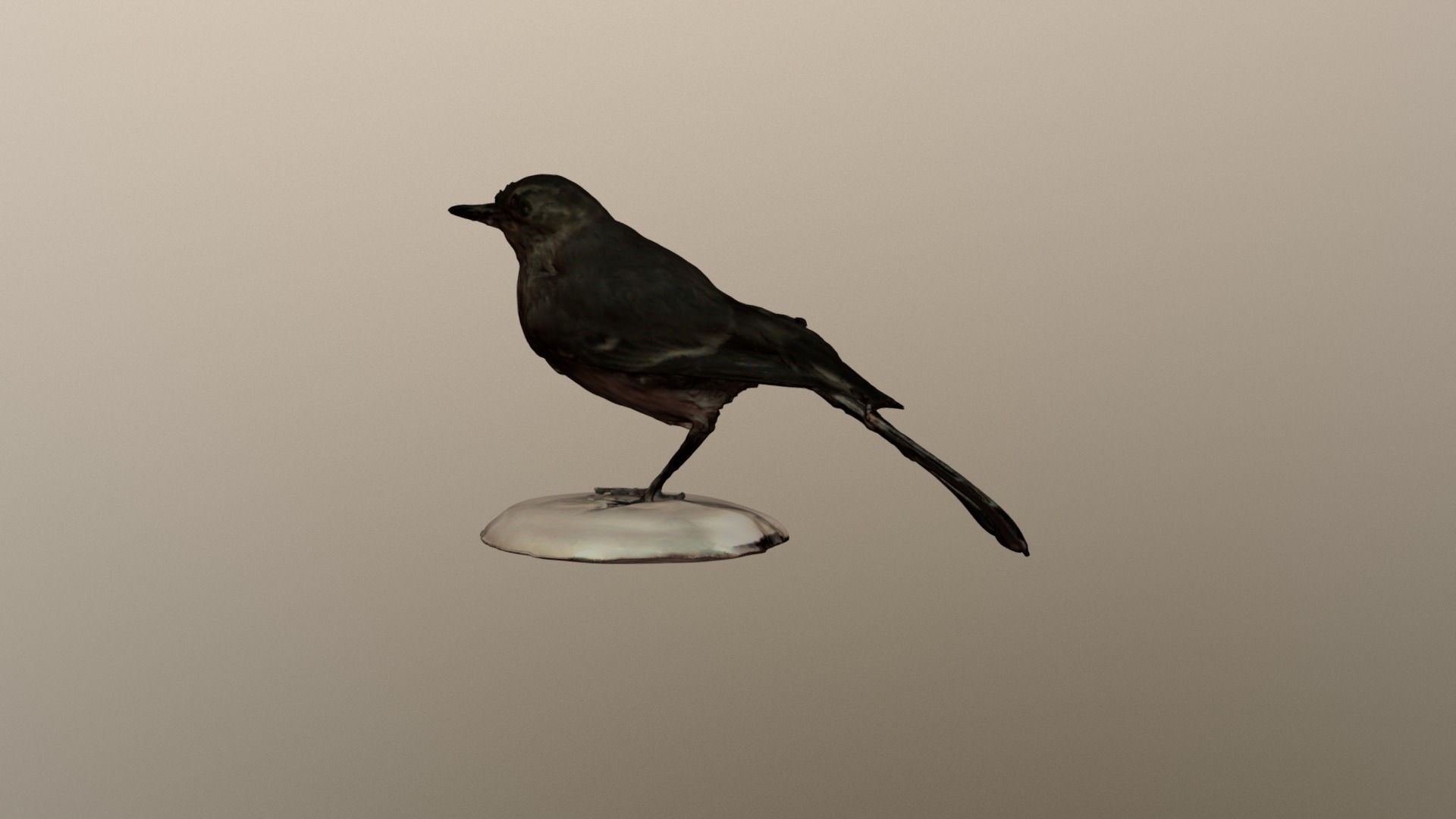 3D model Bird - This is a 3D model of the Bird. The 3D model is about a bird on a light.