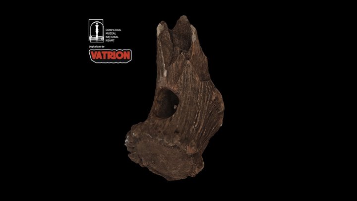 Brăzdar de plug / Plowshare 3D Model