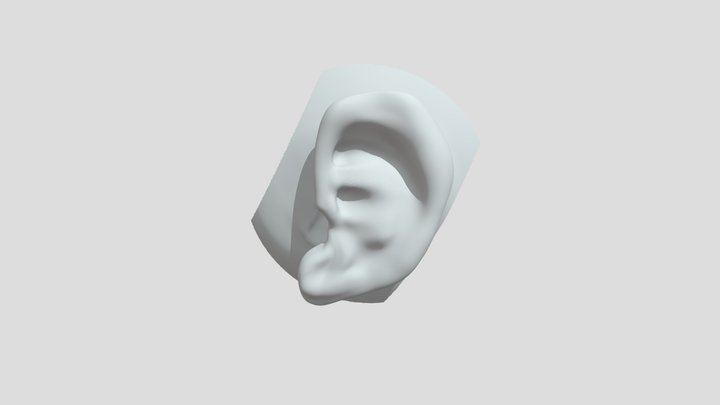 ear3 3D Model