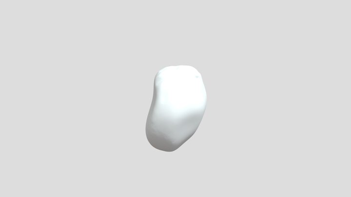 Cashew 3D model 3D Model