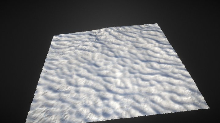 Snow Raw Scan 3D Model