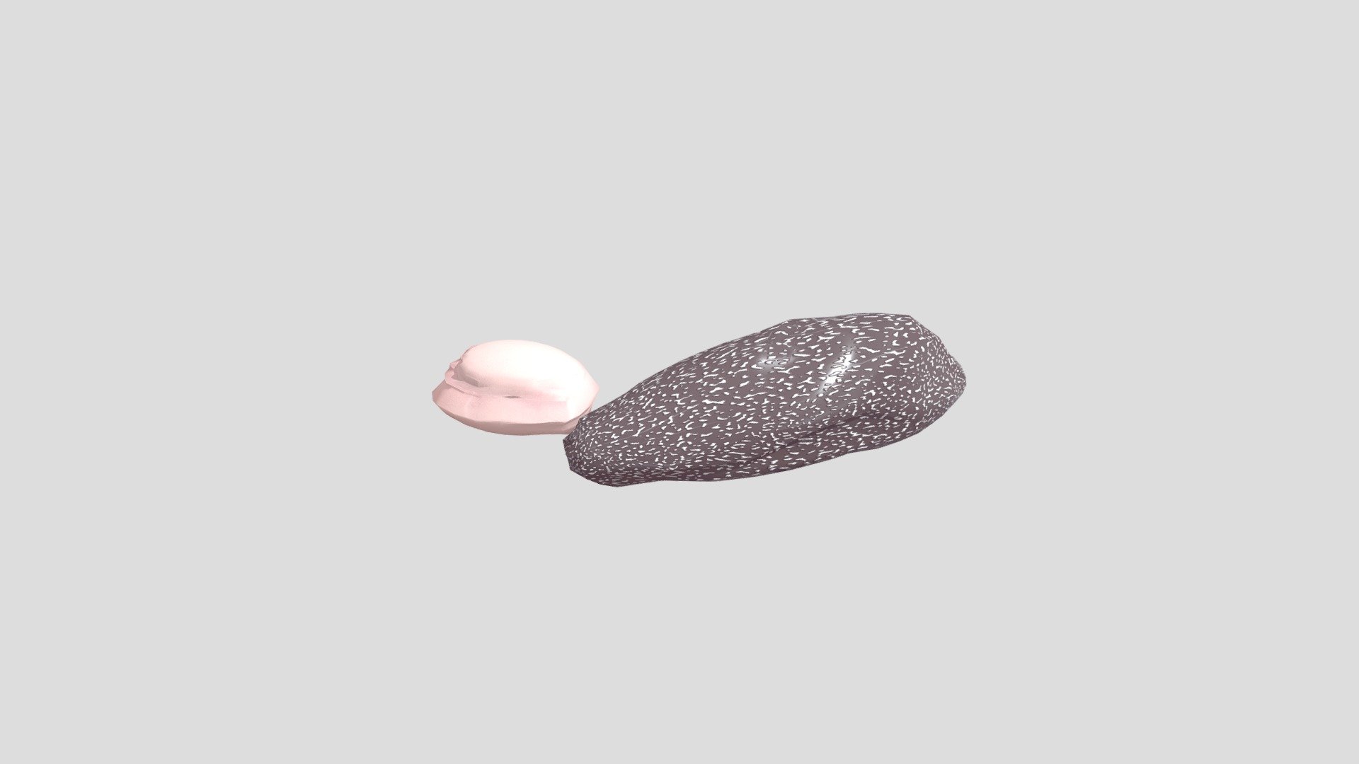 Coral stones