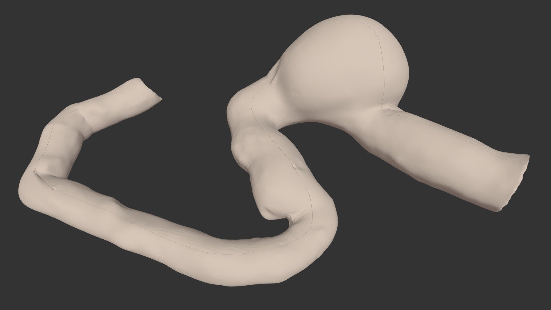 Endoscopia - Download Free 3D model by Riccardo Rocca (@riccardo.rocca ...