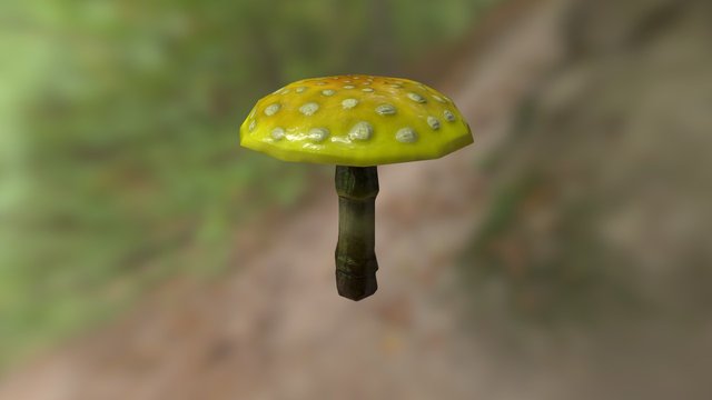 Yellow Amanita 3D Model