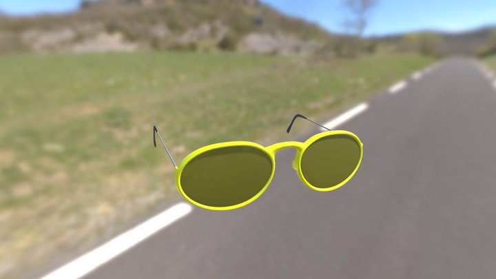 Kim's Sunglasses 3D Model