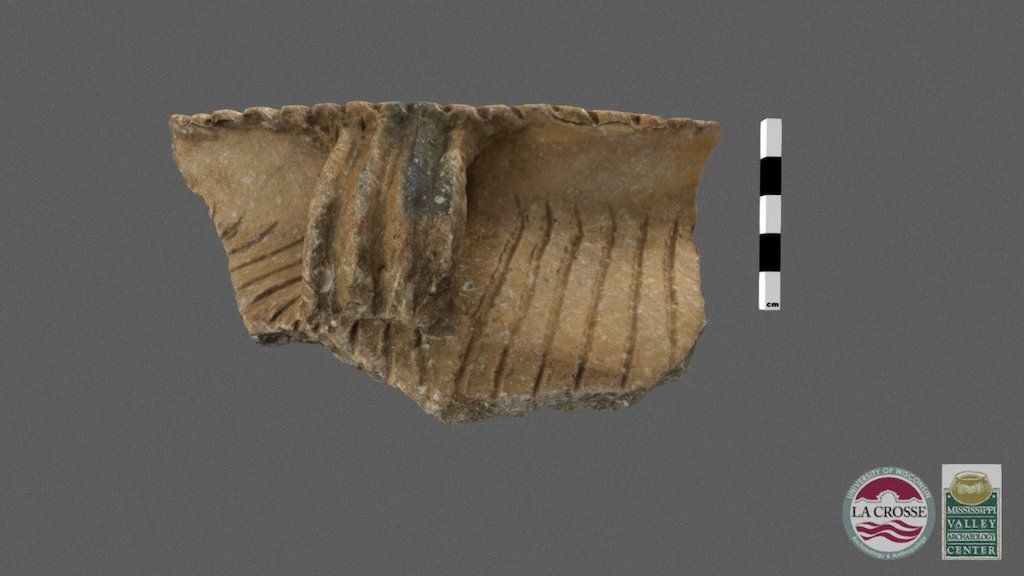 Midway Incised v Fine Lip