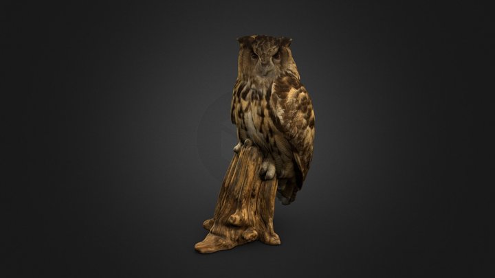 Eurasian eagle-owl 3D Model