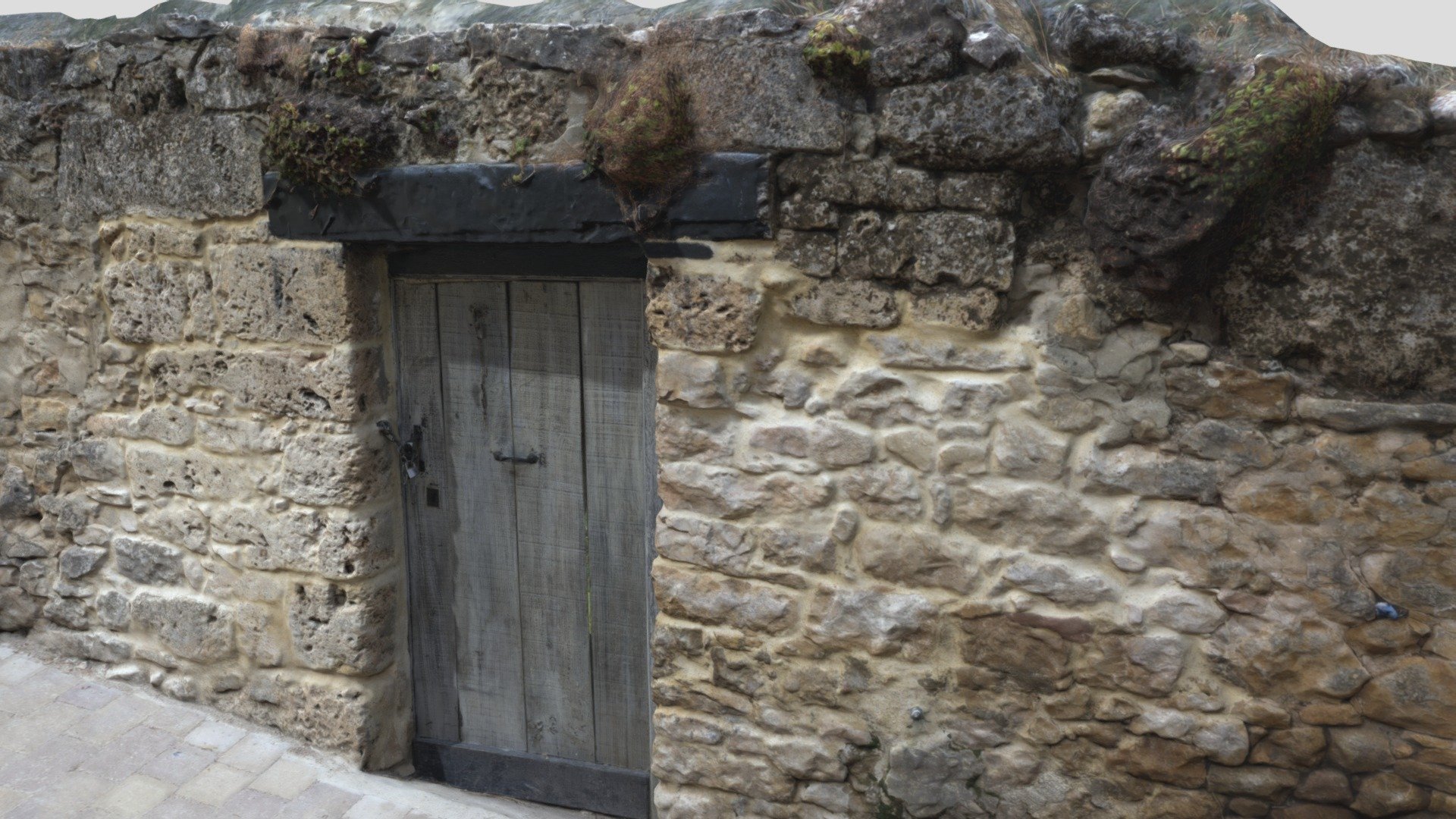 Wooden door on sloping street_Hi res