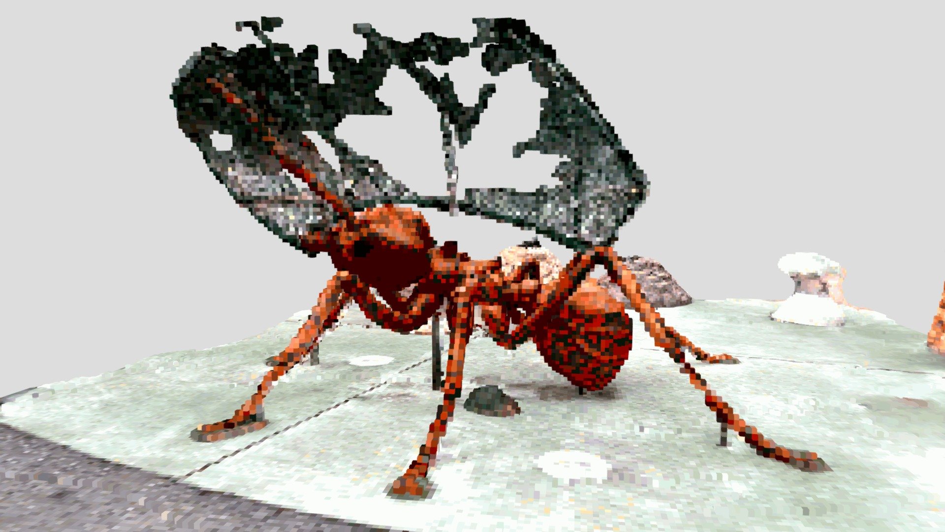 Ant (voxels)