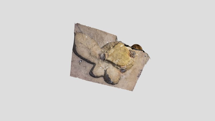 Kilns from Neolithic Period 3D Model