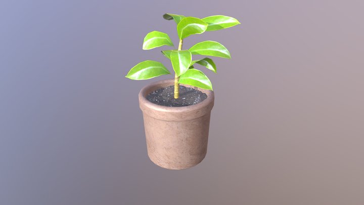 Plant 3D Model