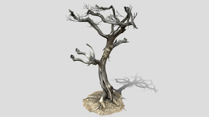 The Withered Tree 3d model free – Gratis 3D-model STL