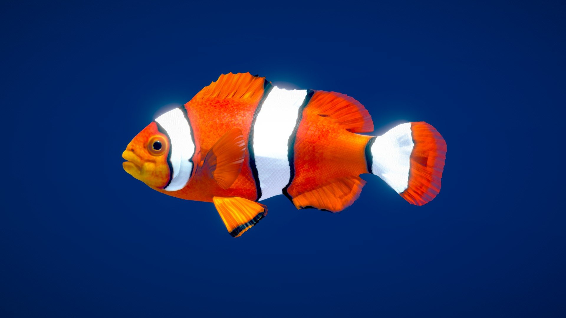 Orange Clownfish - Buy Royalty Free 3D model by Nestaeric [67d920d ...