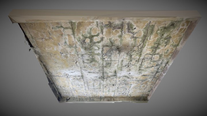 Ceiling 2 3D Model