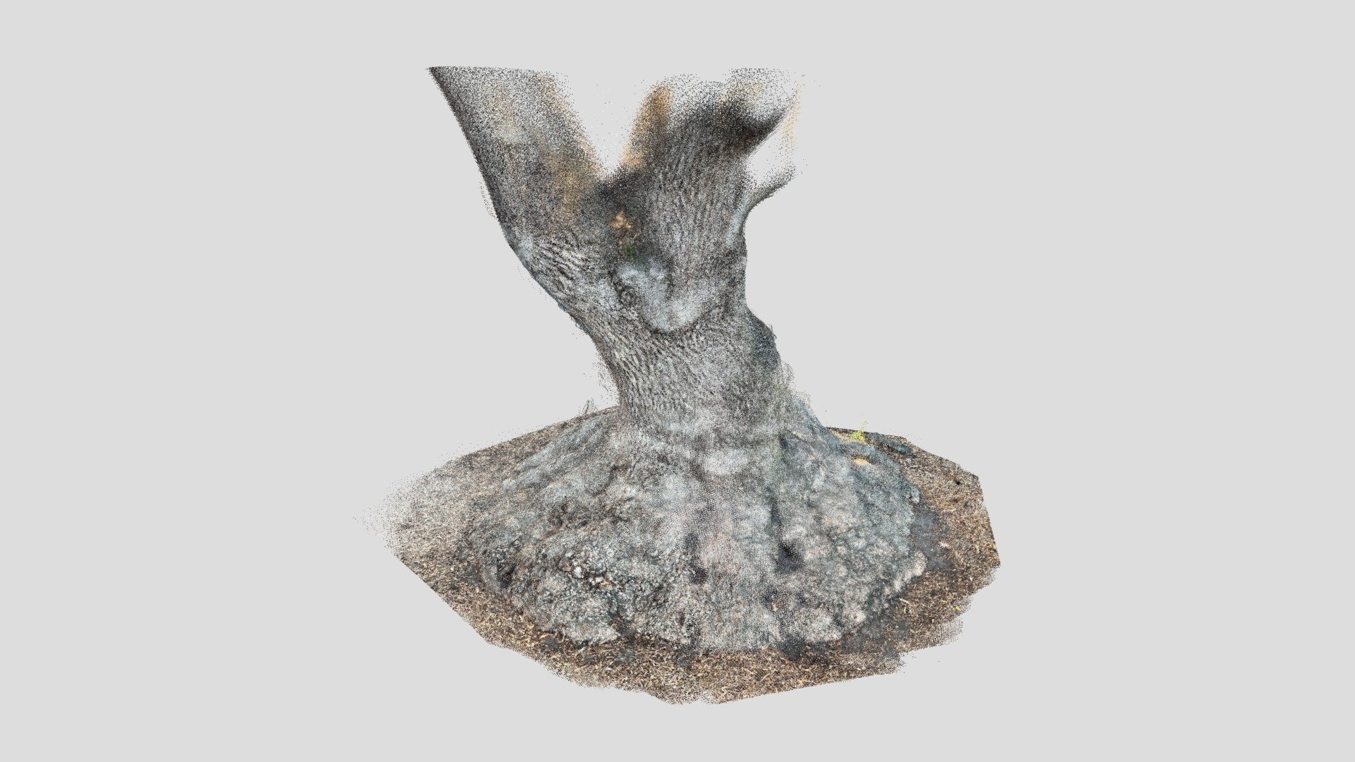 Tree trunk (EveryPoint.io)