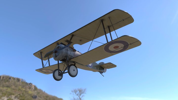 Spowith Camel 3D Model