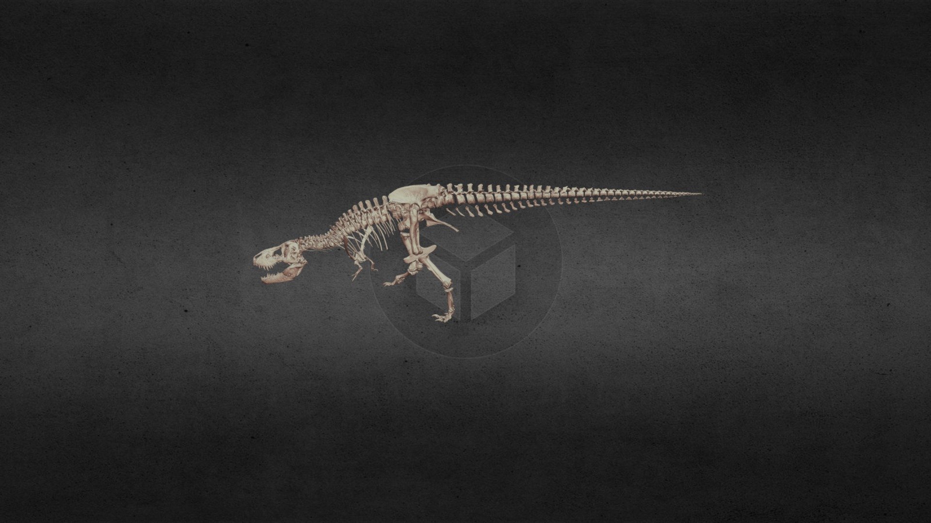 naturalis tyrannosaurus rex