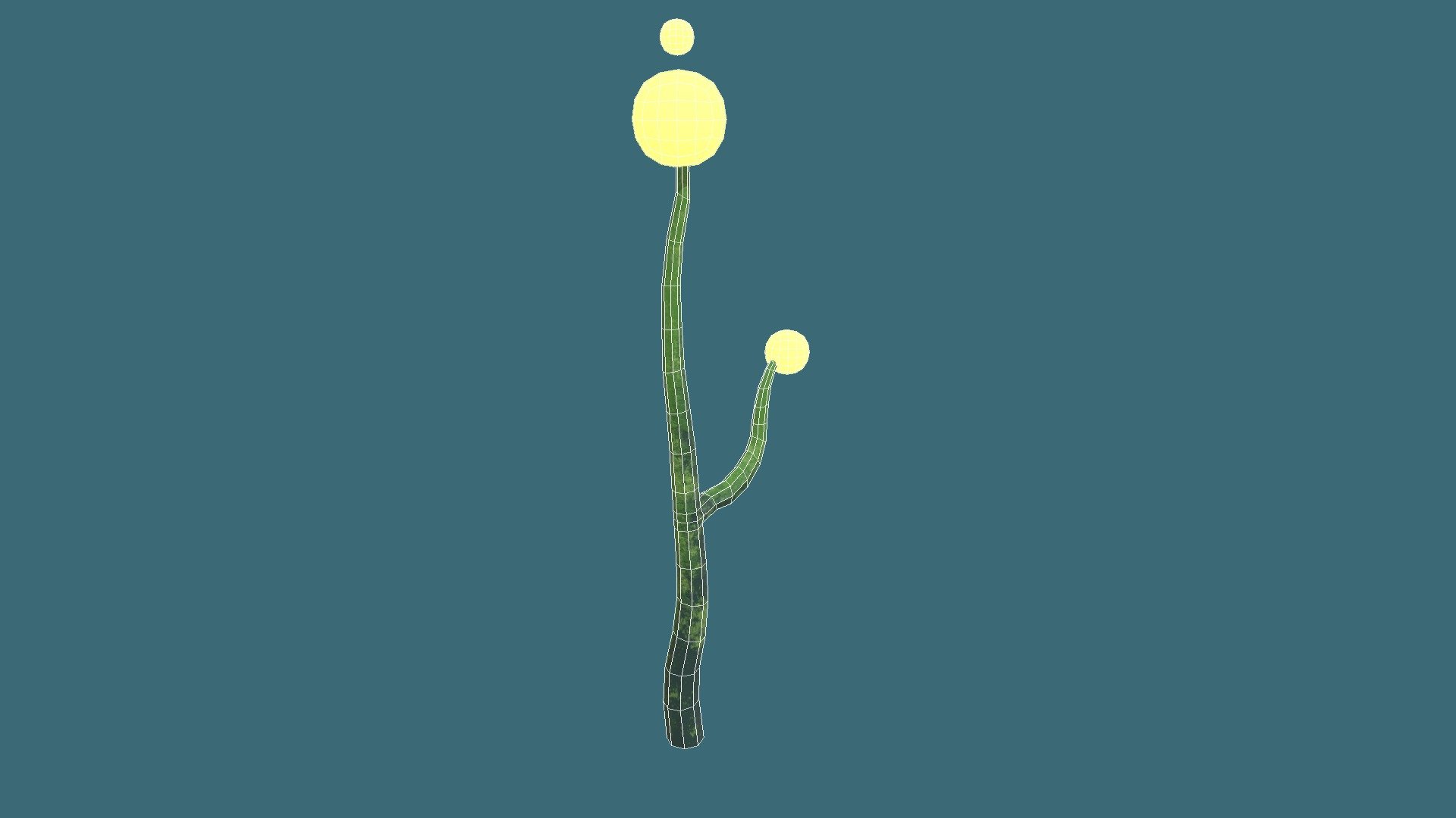 A plant :)
