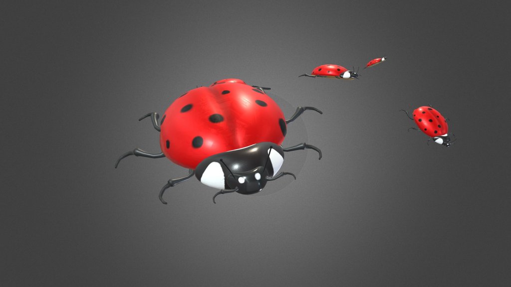 San antonio insect