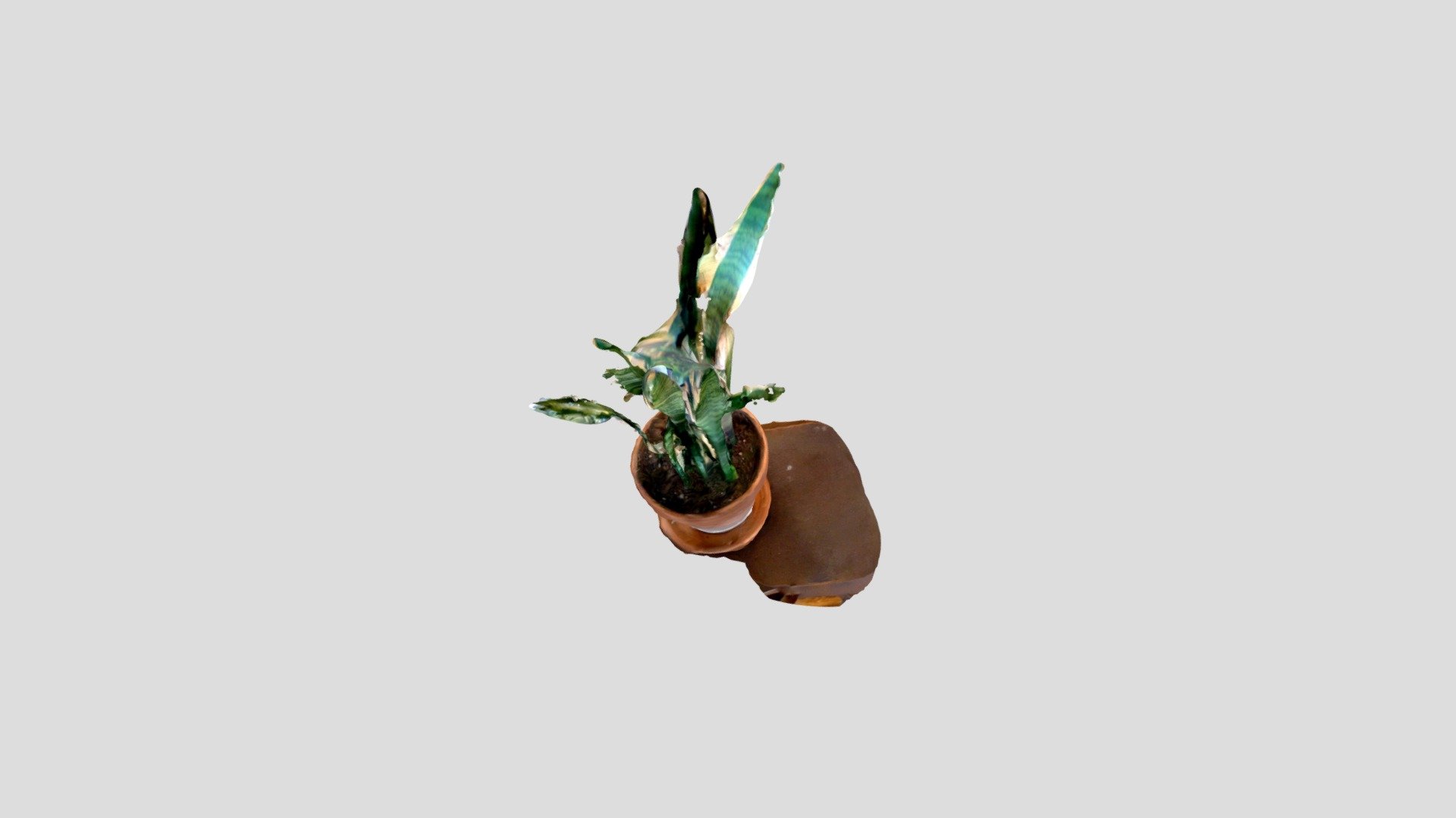 JennaHousePlant — Sketchfab embed 3D viewer