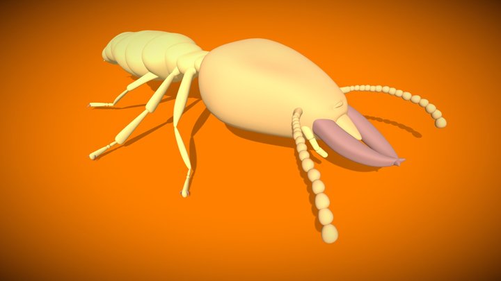Termite 3D Model