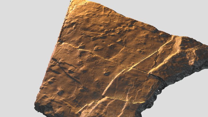 CranePoint 3D Model