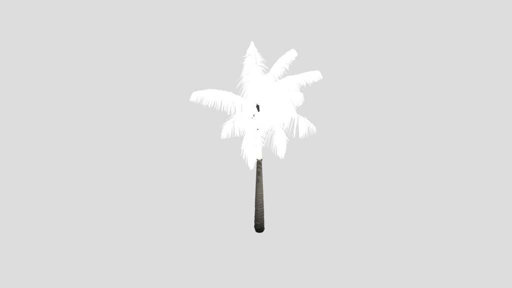 Imperial Palmtree