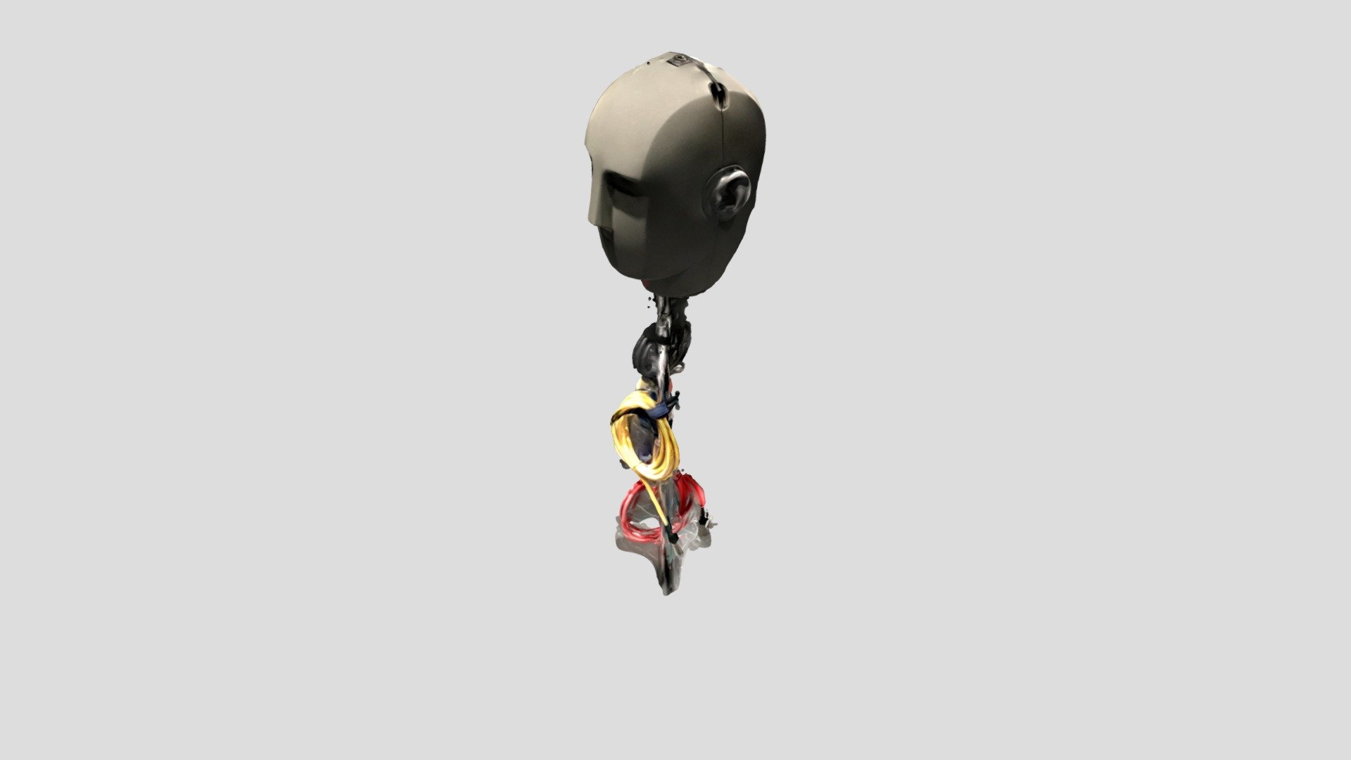 mgHead2
