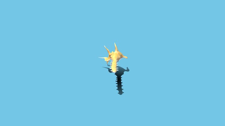 Hungry Shark Style - Saw Shark 3D Model