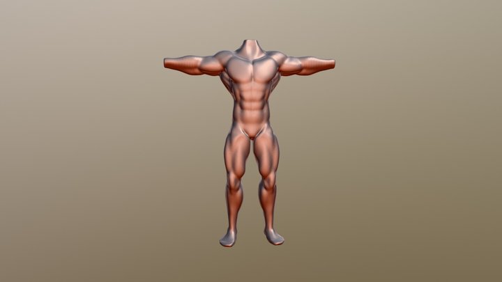 Bodybuilder Man Anatomy Practice Basemesh 3D Model