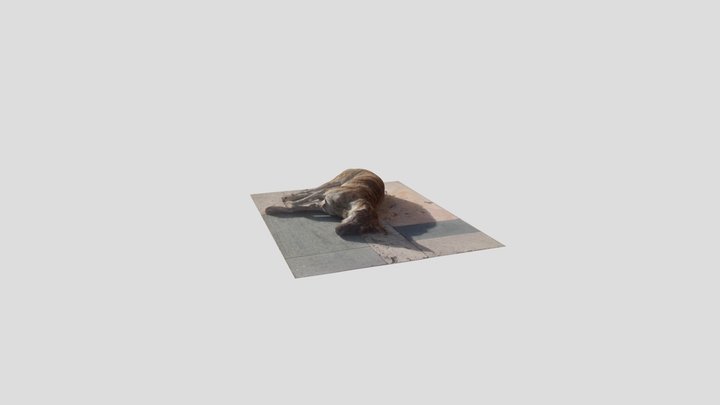 Tbilisi dog#3 3D Model