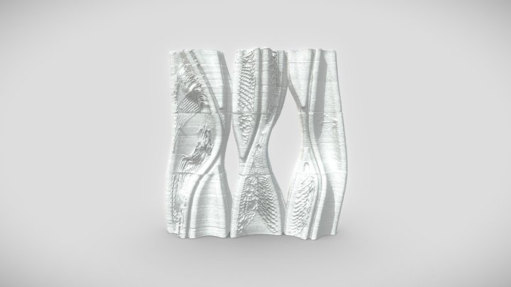 Photogrammetry Scan Final Model 3D Model