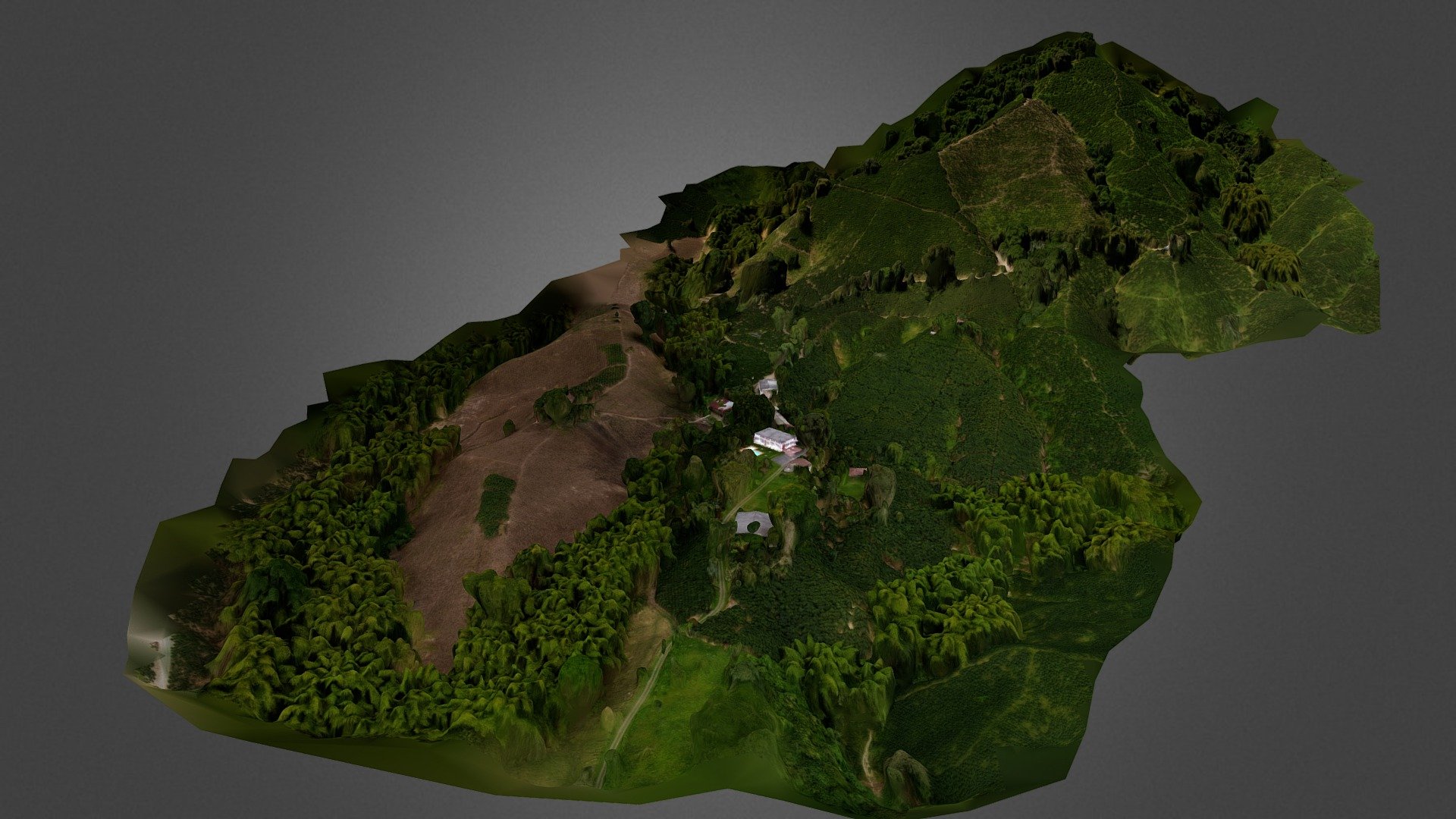 Finca cafetera