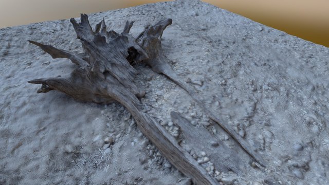 Dead Tree, Murray River, Victoria 3D Model