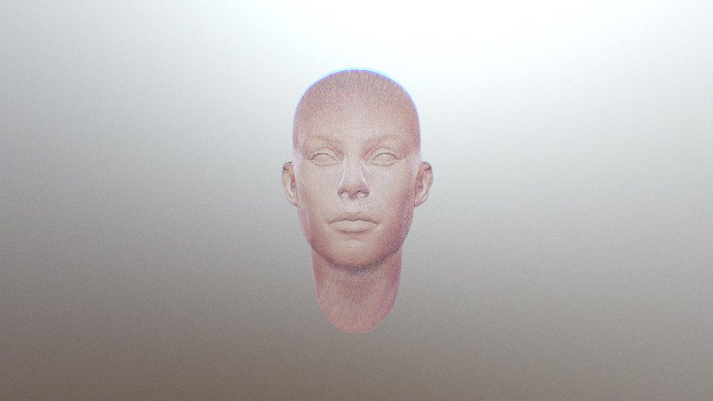 Female Head