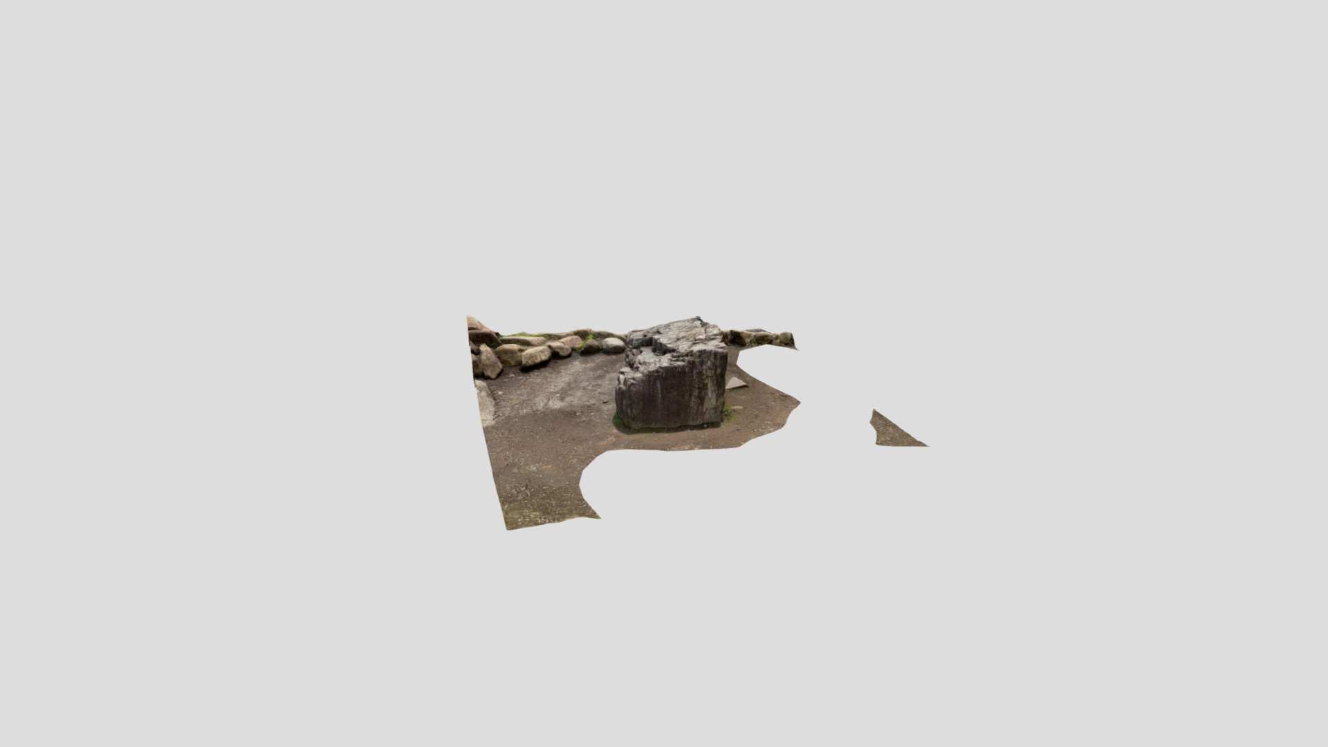 Polycam capture