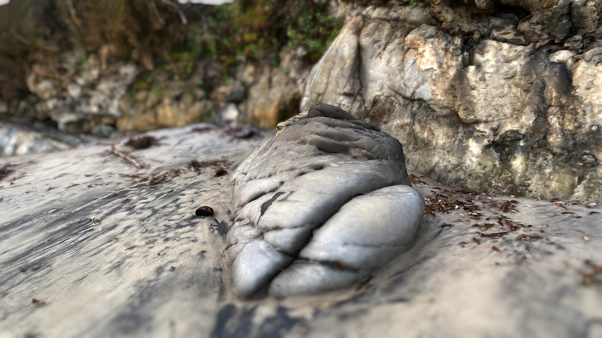 Leo Carrillo Beach Scan