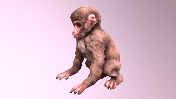 Japanese Monkey 3D Model