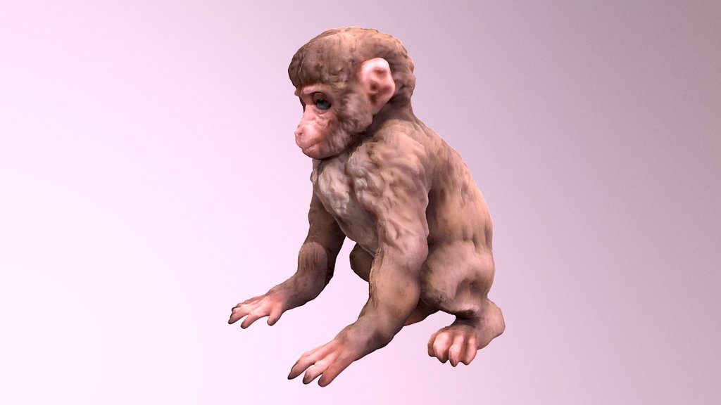 Japanese Monkey
